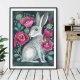 Poppy Hare Plakat 30x40