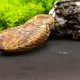 Drewniany wisiorek - ręcznie wypalany naszyjnik z drewna - Anioł Stróż - dla Niej, Dla Niego, biżuteria handmade,Dzień Matki