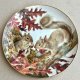 John Francis - The Forest Year 1982r. ❤ Talerz ozdobny ❤ Squirrels