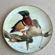 John Francis - The Forest Year 1982r. ❤ Talerz ozdobny ❤ Wood Ducks