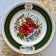 Exclusively! ༺❤༻ SPODE - Kew Flora Pacifica 1990r. ༺❤༻ Obraz na  porcelanie ༺❤༻ Piękny ༺❤༻