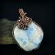 Koral fossil wisiorek wire wrapping