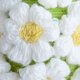 Blooming lamp L