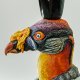 Bird Sarcoramphus papa named Julius