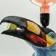 Bird Andigena laminirostris named Javier