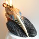 Bird Hornbill named Frederick the Magnificent