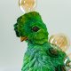 Bird Quetzal named Patrisius