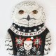 Portrait of a snow owl named Sisi