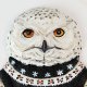Portrait of a snow owl named Sisi