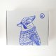 Portraitt of a jay named Steve