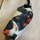 Zestaw saszetka na smaczki i woreczki # rhodesian appenzeller retriever