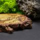 Mini podkładka pod kubek z drewna gruszy – motyw sztormu i fal - pirografia, handmade, na prezent