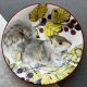 Exclusively by Sheila Mannes- Abbott ❤ Squirrel