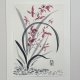Wdzięk orchidei. japońskie malarstwo sumi-e. Original Akwarela A4+