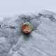 Kolczyki sztyfty, małe kolorowe kamyczki