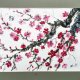 Gałązka wiśniowa japońskie malarstwo sumi-e. Original Akwarela A4