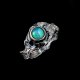 OPAL