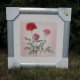 Nowy obraz  40x40