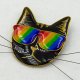 Przypinka tęczowa pride z kotem pin 001