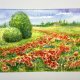 Pole maków.Prowansji originalna akwareli A4