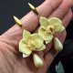 Kolczyki orchidee ze szklaną kroplą w delikatnym odcieniu złota