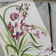 Dzika różowa orchidea. japońskie malarstwo sumi-e. Original Akwarela A4