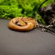 Wisiorek "Tygrysie Oko w octowcu"–amulet z duszą-octowiec,pirografia, prezent -Dzień Matki, Unique Jewelry Design; Luxury Wooden Jewellery