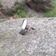Dziwne kwiaty - pierścionek regulowany