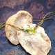 Aquatic Plant perła słodkowodna i lapis lazuli naszyjnik pleciony makramowy