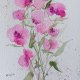 Akwarela "Kwiaty" 12*16 cm