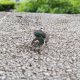 Onyks zielony - pierścionek regulowany