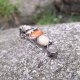 Plamka koloru - klamra do włosów