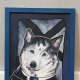 Pies Husky A4