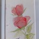 Akwarela w ramie Róze 19*14 cm