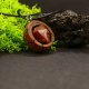 Wisiorek z brzozy z jaspisem – biżuteria inspirowana naturą i surowym pięknem, dla niej, prezent pirografia, dla niej, kobiety, dla nauczycielki