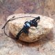 LUNULA księżyc Lapis Lazuli i Jadeit w makramie bransoletka pleciona czarna