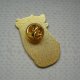 PIN PRZYPINKA BROSZKA KOTY KOTKI