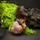 Wisiorek z naturalnego drewna i kwarcu różowego – rękodzieło z duszą - prezent dla kobiety dla niej Unique Jewelry Design; Luxury Wooden