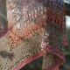 Hiacynty / lino colotato