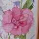 Akwarela w ramie15*20 cm