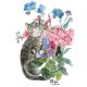 Plakat Kot w Pelargoniach