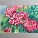 Rhododendron Original Akwarela A4