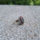 Jaspis - pierścionek regulowany