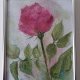 Akwarela "Różyczka" w ramce 15*20 cm