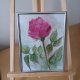 Akwarela "Różyczka" w ramce 15*20 cm