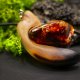 Wisiorek "Bursztyn bałtycki" –żywioł ognia i bursztynowego światła,orzech, pirografia, prezent; Amber and Wood Pendant, biżuteria