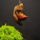 Wisiorek "Bursztyn bałtycki" –żywioł ognia i bursztynowego światła,orzech, pirografia, prezent; Amber and Wood Pendant, biżuteria