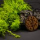 DREWNIANY WISIOREK - RĘCZNIE WYPALANY NASZYJNIK Z DREWNA, ZAWIESZKA, MOTYW NATURY - DRZEWO ŻYCIA, dla Niej, dla Niego