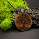 DREWNIANY WISIOREK - RĘCZNIE WYPALANY NASZYJNIK Z DREWNA, ZAWIESZKA, MOTYW NATURY - DRZEWO ŻYCIA, dla Niej, dla Niego, tree of life