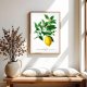Plakat Cytryna vintage - format 61x91 cm - rycina - ilustracja - lato